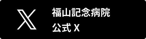 公式X